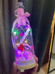 Adorable Bear Couple Dome Light