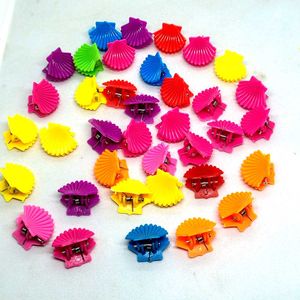 Shell Hair Clips - Colorful Set