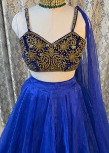 Blue Embellished Lehenga Choli