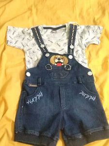 Cute Puppy Outfit