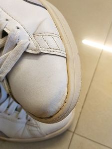 Puma Shoe