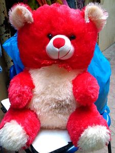 Teddy
