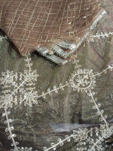 Elegant Embellished Anarkali Suit