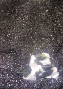 Sparkly Party Dress with Jacket