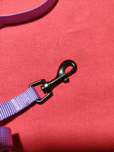Small Dog Harness