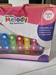 Big Xylophone