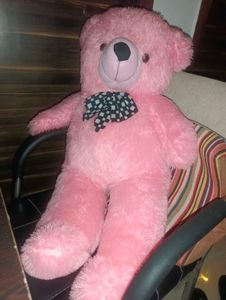 Pink Teddy Bear
