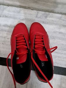 Puma Ferrari Theme Sneakers With Box