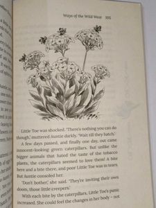 From Root To Rain Book