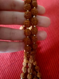 RUDRAKSH MALA 108 BEADS