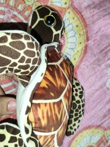 Turtle Plush Teddy