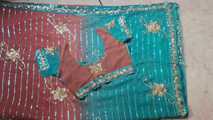 Elegant Embellished Saree