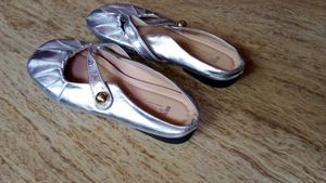 Silver Bellies