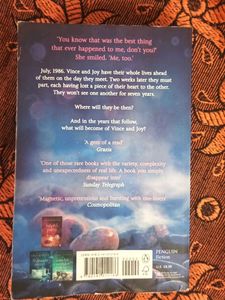 Vince &amp; Joy By Lisa Jewell