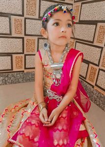 Elegant Lehenga Choli Set