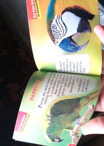 Birds Fact Digest 📖