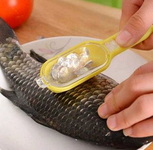 Fish Scale Scraper