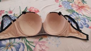 Padded Branded Bra 40E