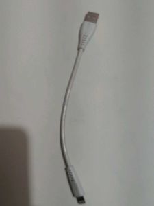 iPhone Airports Charger
