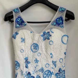 Frozen Maxi Embroided Dress