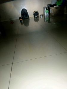 Trendy 80W Projecter LED Headlight