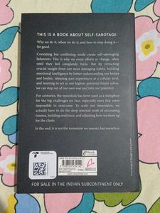 The Mountain Is You - Self Mastery