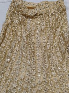 Gold Embellished Ethnic Skirt