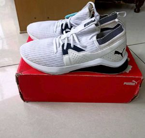 PUMA EVA SOFTFOAM SHOES