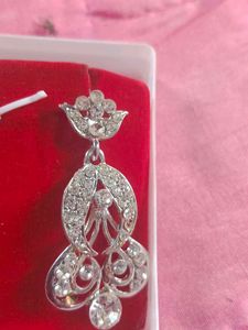 Sparkling Silver Earrings