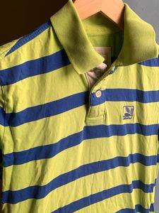 Striped Polo Shirt