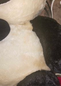 Giant Panda Plushie