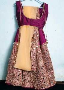 Mirror Work Lehenga Choli