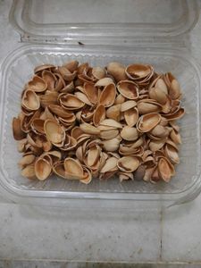 Pack Of 2 Saree Laces And Pistachio Shells