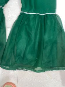 Green Garara Palazzo Pants