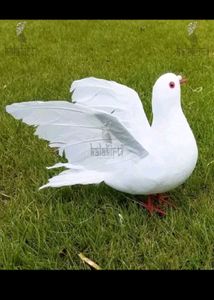 Simulation Foam White Feather Dove Pigeon