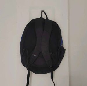 Skybags Backpack