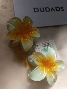 Mini Cluchters From Savana
