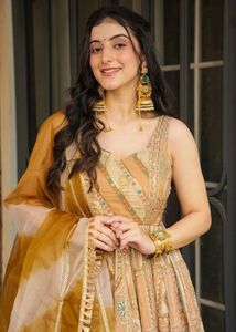 Elegant Anarkali