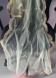 Elegant Net Duppatta