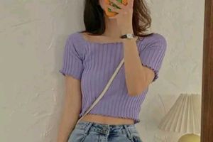 Korean Style Leavender Crop Top