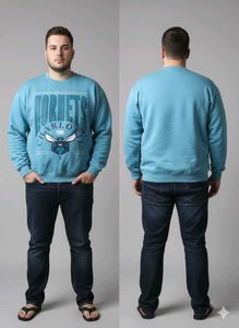 Hornets Graphic Sweatshirt
