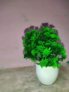 Home Decor Flower