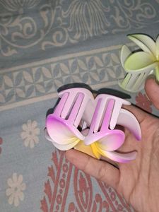 Hawaiian Tropical Flower Claw Clip 2pcs
