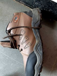 Brown Sports Shoes