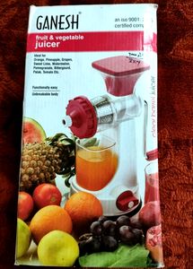Ganesh Fruit &amp; Vegetable Steel Handle Juicer, green 💚