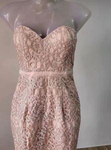 Blush Lace Mermaid Gown
