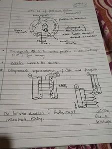 cell the unit of life notes