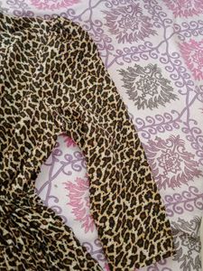 Leopard Print Dress