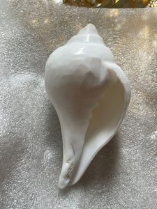 JINALI GEMS Blowing Shankh for Pooja, Blowi