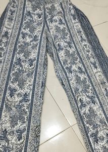 Plazo Pant
